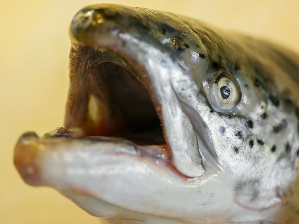 Come organizzare la casa per l'arrivo di un neonato?